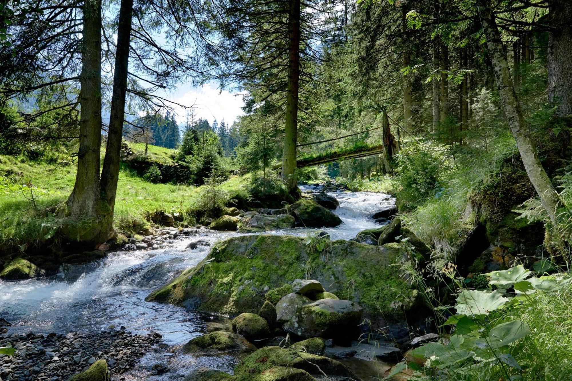 Ferienwohnung Innerhofer Hollersbach im Pinzgau Exterior foto